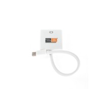 2B (CV039) Converter From Mini Display Port Mini-DB to VGA Adaptor
