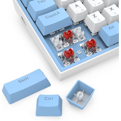 REDRAGON K617 FIZZ RED Switch RGB - WHITE/BLUE (60% KB) - ARABIC